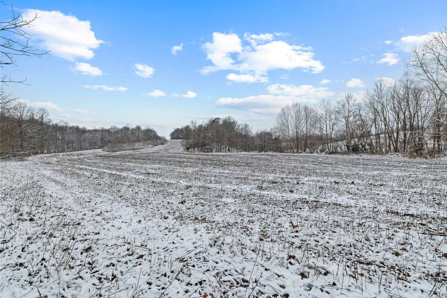 29-0 Waggener Ch-Chalbeate Rd Clay KY 42404_20251203_029.jpg